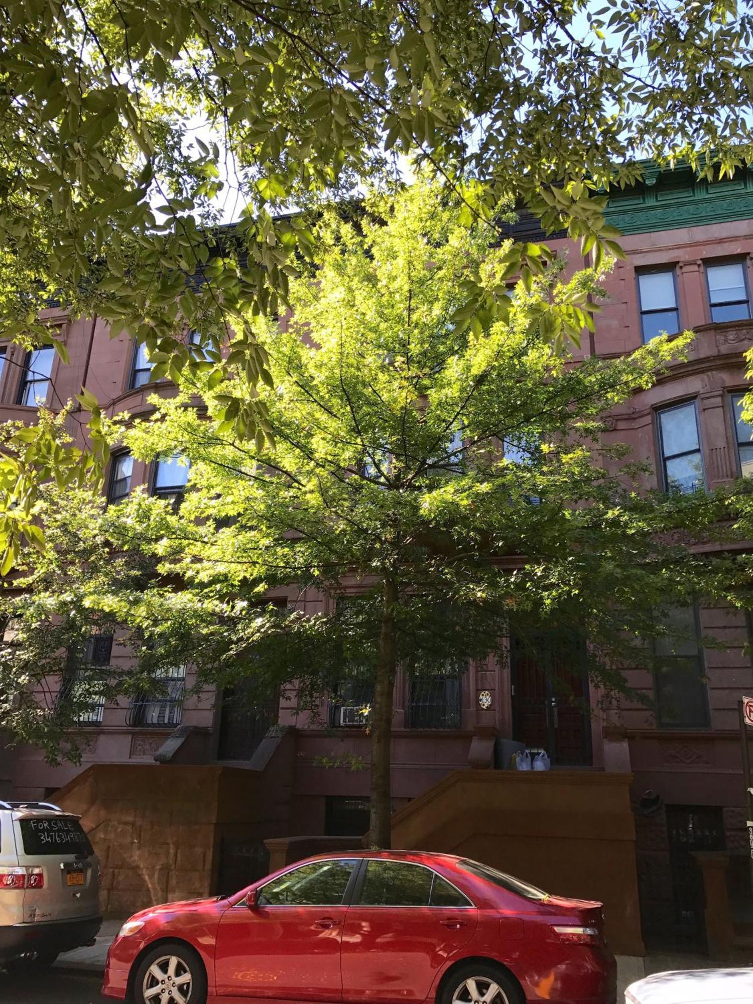 Apartment Private Spacious With 2 Bedrooms 2 Bathroomss And A Deck *